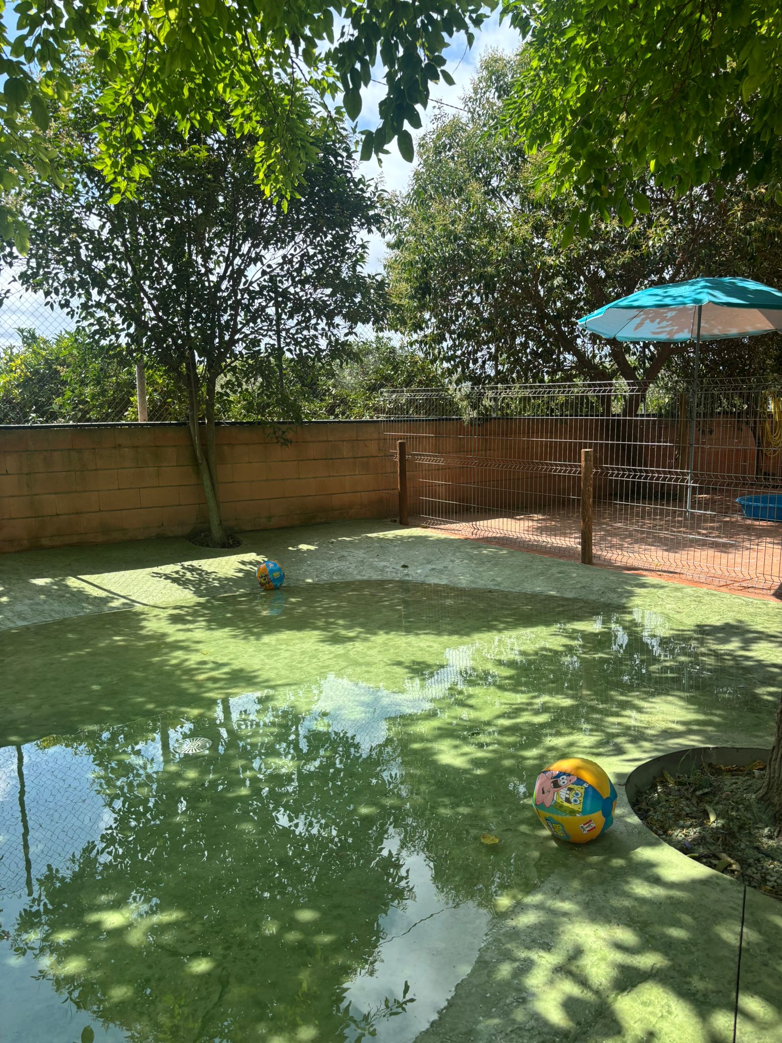 Suite con piscina