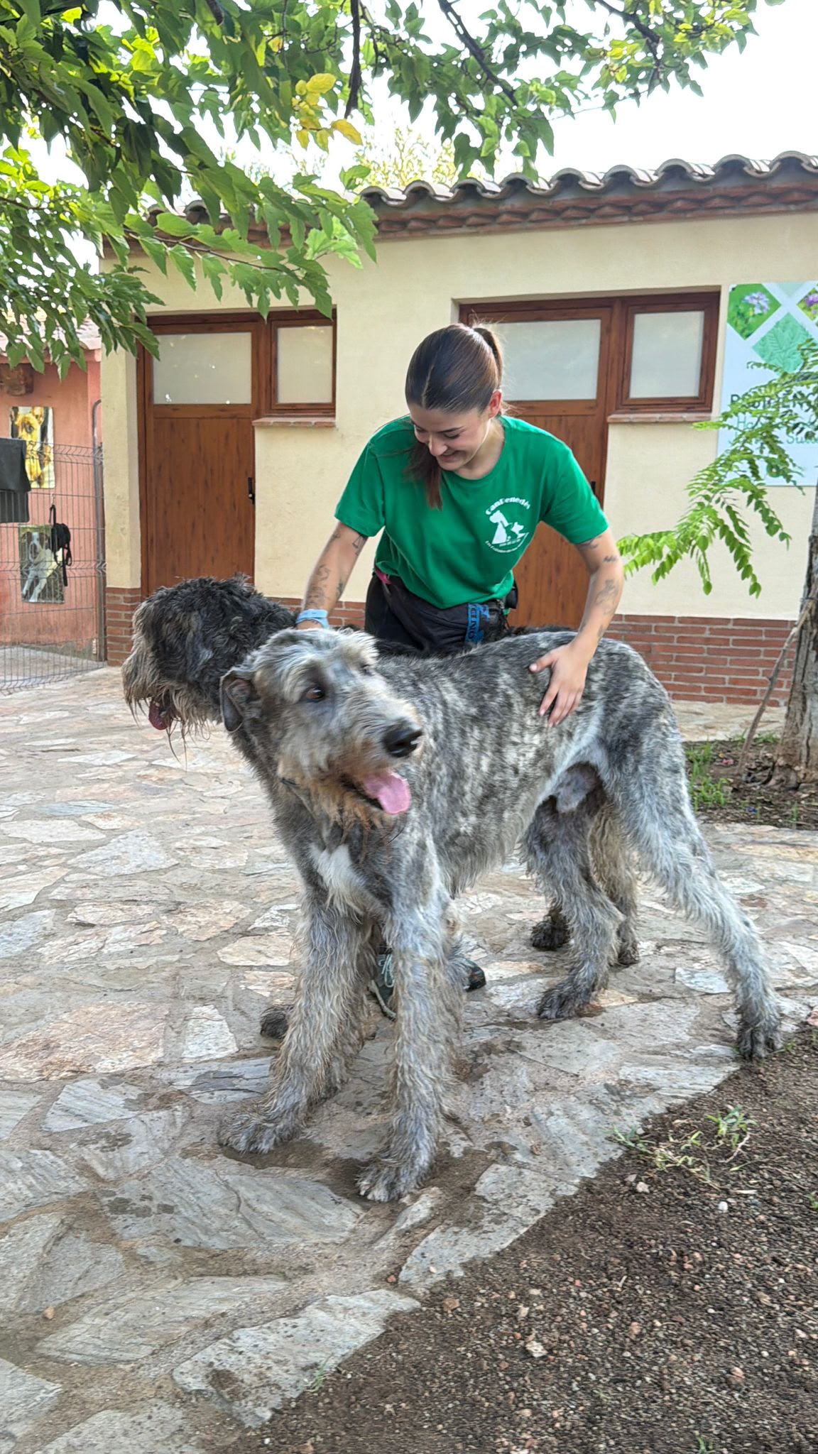 Lola amb gossos a Can Pened&egrave;s.