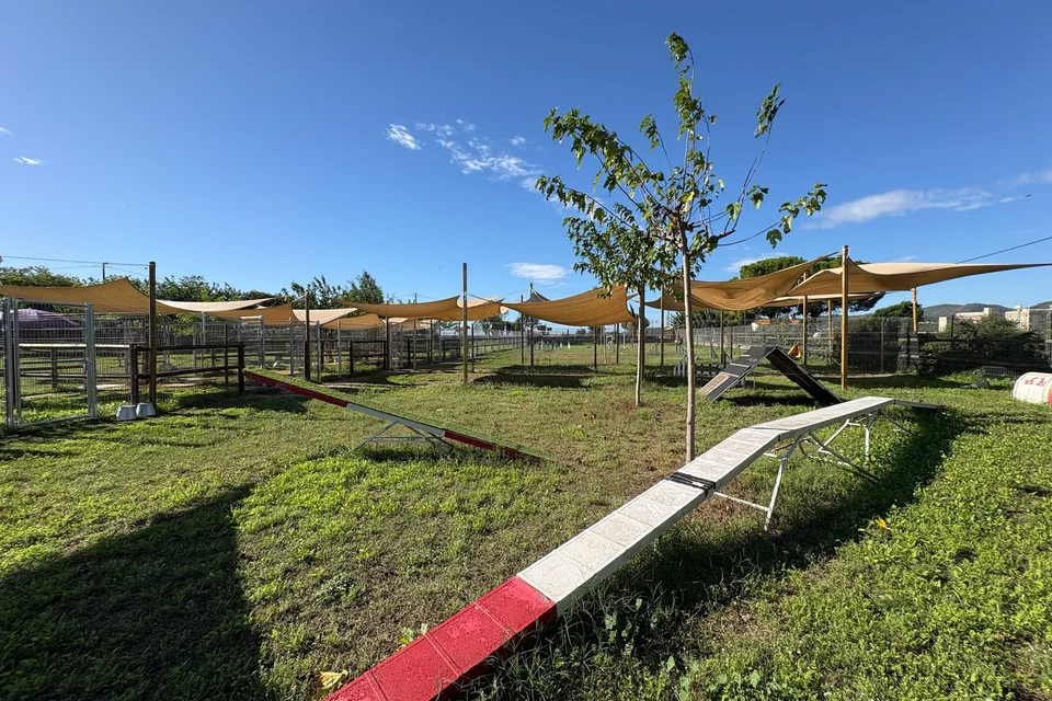 Agility area — Can Penedès